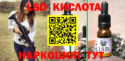 шишки Кандалакша