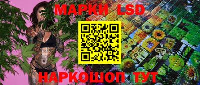 mdma Камышлов