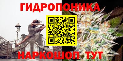 шишки Кандалакша