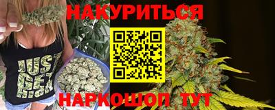 шишки Кандалакша