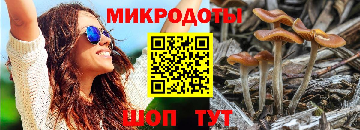 Мариинск  Галлюциногенные грибы GOLDEN TEACHER  где купить наркоту  Вход с VPN 